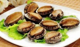 鲍鱼最新爆料视频大全,揭秘娱乐圈幕后真相