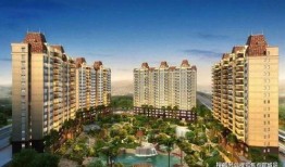 金辰御府最新爆料消息新闻,揭秘高端豪宅背后的奢华与争议