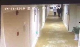 酒店最新爆料视频播放,最新爆料视频带你一探究竟