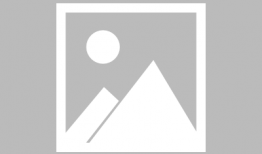 石家庄警方最新爆料,重大案件侦破进展公布