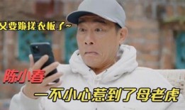 春哥最新爆料采儿是谁啊,揭秘“采儿”身份之谜