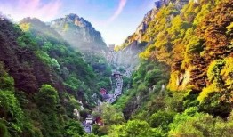 泰安景区爆料事件最新,惊现惊人内幕，游客权益如何保障？